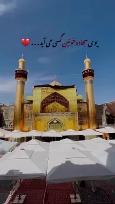 بوی سجاده خونین کسی می آید ❤️😔