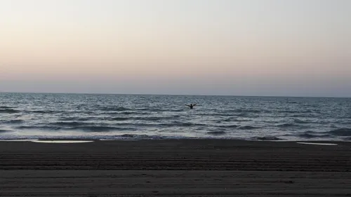 ساحل زیبای سرخرود ...مردی که در آبهای دریا دستهایش را برا