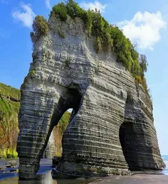 صخره فیل، نیوزیلند 