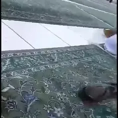 سبحان الله