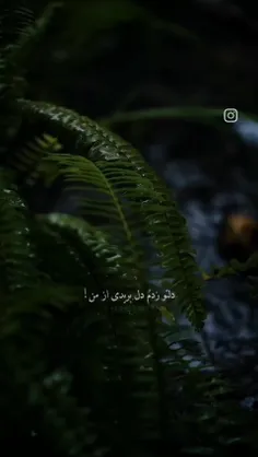 پست هام لایک شه✨️💖