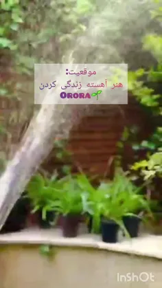 🤍🌱شاید دیگر درک کرده‌ام که هیچ‌گاه نمی‌توانم جلوی همه‌ی ن
