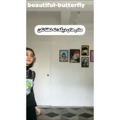 beautiful-butterfly 59591651