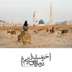 #امام_صادق علیه السلام - در ایام قحطی - دستورمی داد برای 