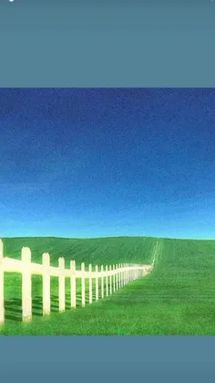 خاله هاری صحبت میکنه 🦖