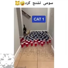 سومی تشنج کرد 🤣😂😂