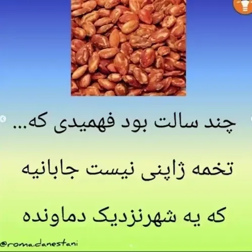  aylwlardm308 38135184 - عکس ویسگون