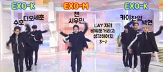 EXO-K  〰  EXO-M 〰  EXO-K