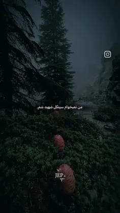 حتا تو شرایط جنگم سینگلم 🤚🏻😂