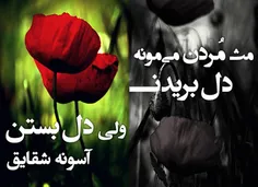 صدای شکستنت را هیچ کس نمی شنود.