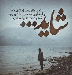 شاید ...