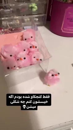 مثلا ۱۰۰بشه؟