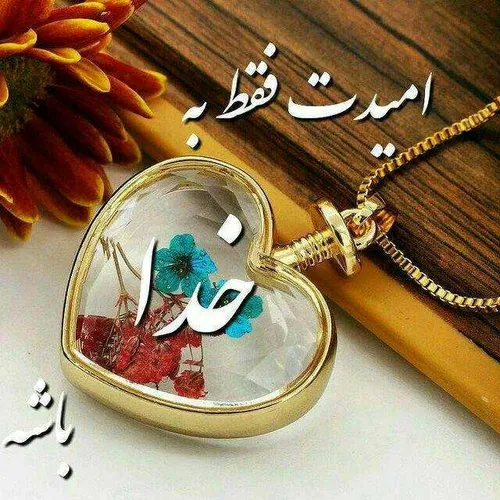 🌸 الهی در این لحظات