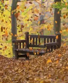 🍁فصل ها 