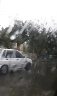 یهویی☔