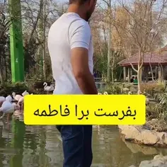 اینم برا فاطمه 🌹🌹