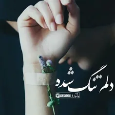 ❥ خیلــــــــی