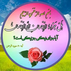 آیا جزای نیکی جز نیکی است ⁉ ️