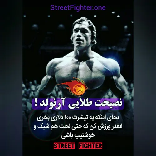 نصیحت طلایی آرنولد! - Street Fighter
