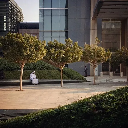 Taking a break from office life in AbuDhabi, UAE. Photo b