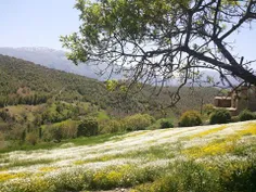 سلام دوستان یه مدتی نبودم اخه ویسم کلا اشکال داشت وقتی با