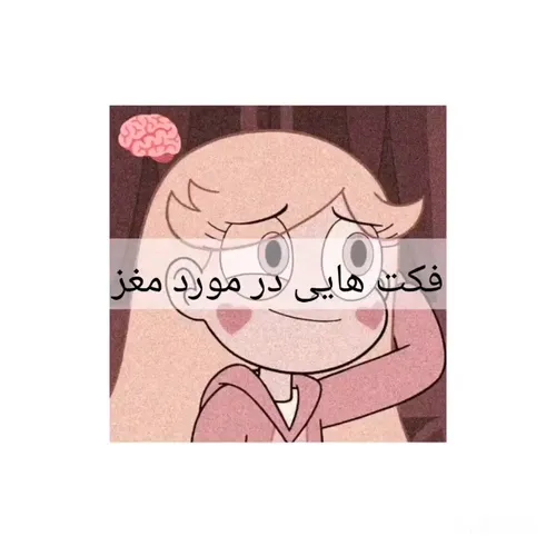 فکت هایی در مورد مغز🧠