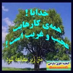 خدایا ! همه ‌ی کارهایت عجیب و غریب است ! 