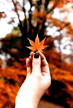 پاییز زیبا 🍁🍂🍁🍂🍁