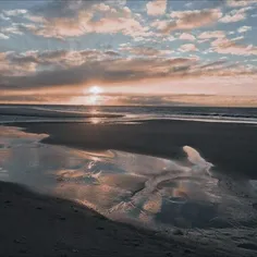 •⚘️•