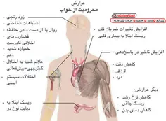 گوناگون soltan.reza.890 26880331