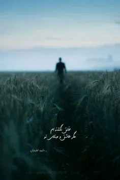 لا ادری 