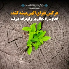 🌴 منْ یَتَّقِ اللَّهَ یَجْعَلْ لَهُ مَخْرَجاً🌴 