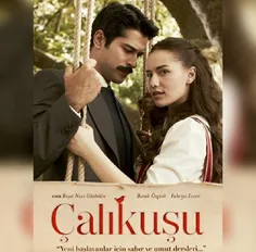 #calikusu