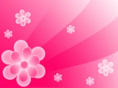 pink-flower-background