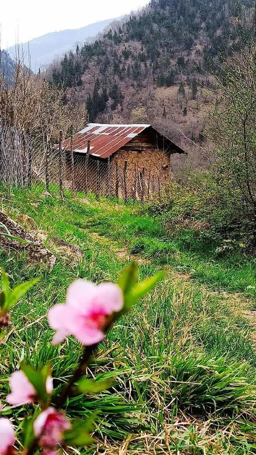 ایران زیبا طبیعت بهاری املش گیلان