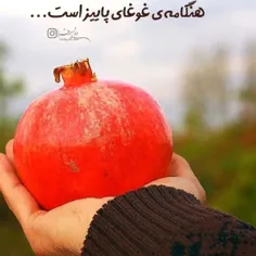 یکباره تمام زندگیم زیبا شد انگار یکی به دل در زده بود آن 