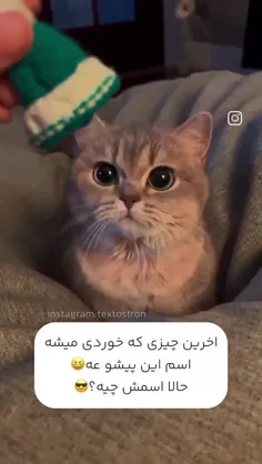 ط کامنتا بگید 🫠