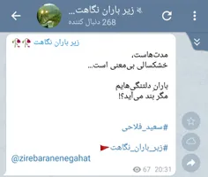 سعید فلاحی (زانا کوردستانی)