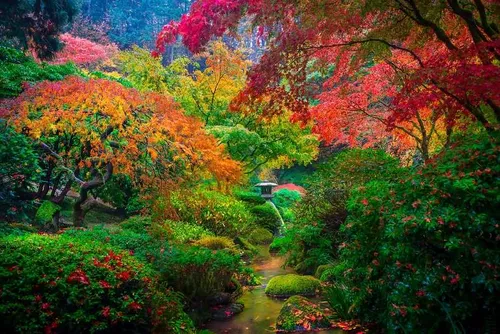 باغچه ژاپنی آمریکا