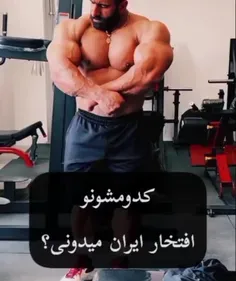 کدومشو افتخار ایران میدونی...