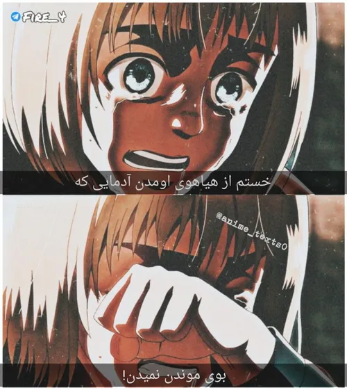 texts pro attack on titan armin arlert