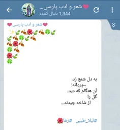 #سعید_فلاحی