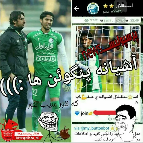 آشیانه پنگوئن ها 😂 😂