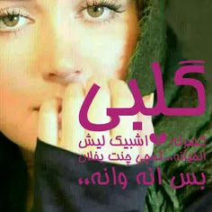 گوناگون nafas1312 19328914