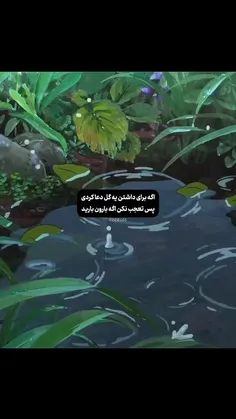 sunshinegirl3200 77349558