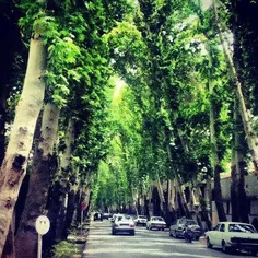 خیابان عباس اباد اصفهان یوی از زیباترین خیابان های اصفهان