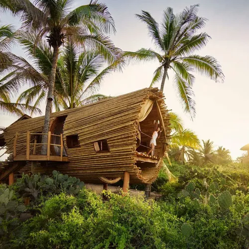 خانه درختی با استفاده از چوب بامبو در مکزیک 😍
