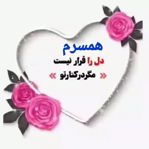  ali_norouzi.1363 45708950 - عکس ویسگون