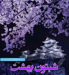 💜 شبتون پر