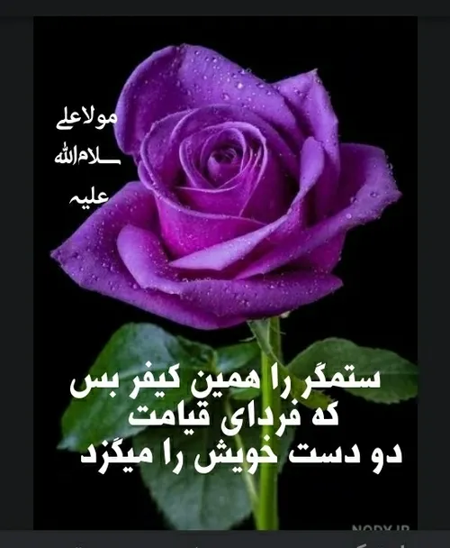  amirjafar188 55418522 - عکس ویسگون